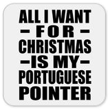 All I Want For Christmas Is My Portuguese Pointer - Drink Coaster