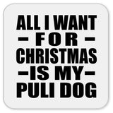All I Want For Christmas Is My Puli Dog - Drink Coaster