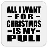 All I Want For Christmas Is My Puli - Drink Coaster
