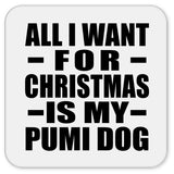 All I Want For Christmas Is My Pumi Dog - Drink Coaster