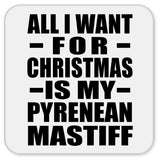 All I Want For Christmas Is My Pyrenean Mastiff - Drink Coaster