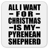 All I Want For Christmas Is My Pyrenean Shepherd - Drink Coaster