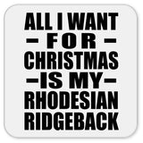 All I Want For Christmas Is My Rhodesian Ridgeback - Drink Coaster