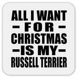 All I Want For Christmas Is My Russell Terrier - Drink Coaster