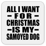All I Want For Christmas Is My Samoyed Dog - Drink Coaster
