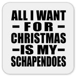 All I Want For Christmas Is My Schapendoes - Drink Coaster