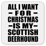 All I Want For Christmas Is My Scottish Deerhound - Drink Coaster