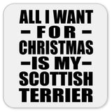 All I Want For Christmas Is My Scottish Terrier - Drink Coaster