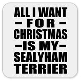 All I Want For Christmas Is My Sealyham Terrier - Drink Coaster