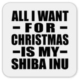 All I Want For Christmas Is My Shiba Inu - Drink Coaster