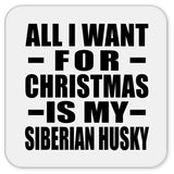 All I Want For Christmas Is My Siberian Husky - Drink Coaster
