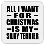 All I Want For Christmas Is My Silky Terrier - Drink Coaster