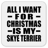 All I Want For Christmas Is My Skye Terrier - Drink Coaster