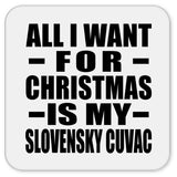 All I Want For Christmas Is My Slovensky Cuvac - Drink Coaster