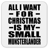 All I Want For Christmas Is My Small Munsterlander - Drink Coaster