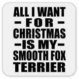 All I Want For Christmas Is My Smooth Fox Terrier - Drink Coaster