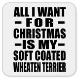 All I Want For Christmas Is My Soft Coated Wheaten Terrier - Drink Coaster
