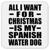 All I Want For Christmas Is My Spanish Water Dog - Drink Coaster