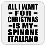 All I Want For Christmas Is My Spinone Italiano - Drink Coaster