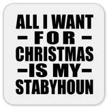 All I Want For Christmas Is My Stabyhoun - Drink Coaster