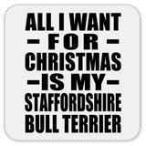 All I Want For Christmas Is My Staffordshire Bull Terrier - Drink Coaster
