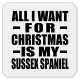 All I Want For Christmas Is My Sussex Spaniel - Drink Coaster