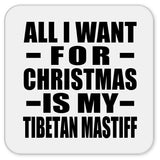 All I Want For Christmas Is My Tibetan Mastiff - Drink Coaster