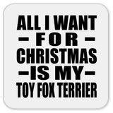 All I Want For Christmas Is My Toy Fox Terrier - Drink Coaster