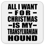 All I Want For Christmas Is My Transylvanian Hound - Drink Coaster