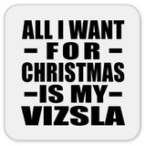 All I Want For Christmas Is My Vizsla - Drink Coaster
