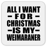 All I Want For Christmas Is My Weimaraner - Drink Coaster