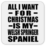 All I Want For Christmas Is My Welsh Springer Spaniel - Drink Coaster