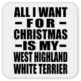All I Want For Christmas Is My West Highland White Terrier - Drink Coaster