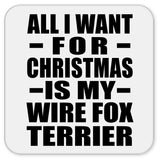 All I Want For Christmas Is My Wire Fox Terrier - Drink Coaster