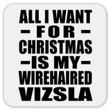 All I Want For Christmas Is My Wirehaired Vizsla - Drink Coaster
