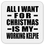All I Want For Christmas Is My Working Kelpie - Drink Coaster