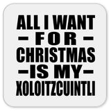 All I Want For Christmas Is My Xoloitzcuintli - Drink Coaster