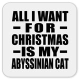 All I Want For Christmas Is My Abyssinian Cat - Drink Coaster