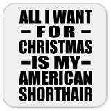 All I Want For Christmas Is My American Shorthair - Drink Coaster
