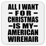 All I Want For Christmas Is My American Wirehair - Drink Coaster