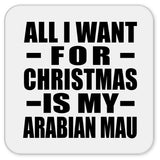 All I Want For Christmas Is My Arabian Mau - Drink Coaster