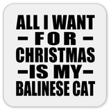 All I Want For Christmas Is My Balinese Cat - Drink Coaster