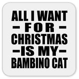All I Want For Christmas Is My Bambino Cat - Drink Coaster