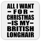 All I Want For Christmas Is My British Longhair - Drink Coaster