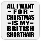 All I Want For Christmas Is My British Shorthair - Drink Coaster