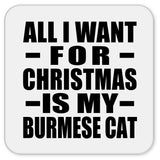 All I Want For Christmas Is My Burmese Cat - Drink Coaster