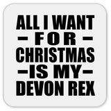 All I Want For Christmas Is My Devon Rex - Drink Coaster