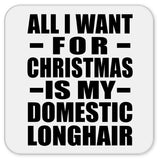 All I Want For Christmas Is My Domestic Longhair - Drink Coaster