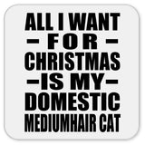 All I Want For Christmas Is My Domestic Mediumhair Cat - Drink Coaster