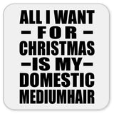 All I Want For Christmas Is My Domestic Mediumhair - Drink Coaster